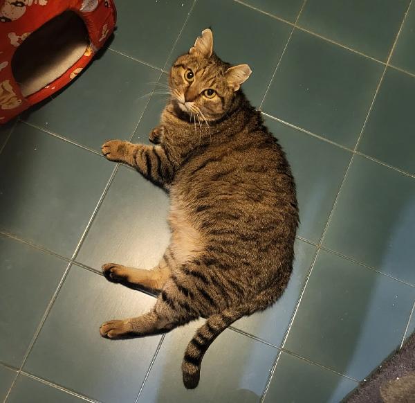 Patrizio Patatotto Patty Foto 2